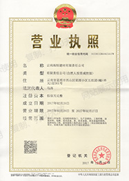 營業(yè)執(zhí)照成功辦理